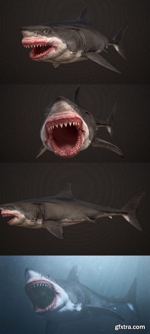 Megalodon