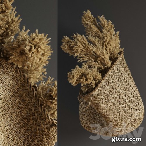  Pampas flower in hand basket