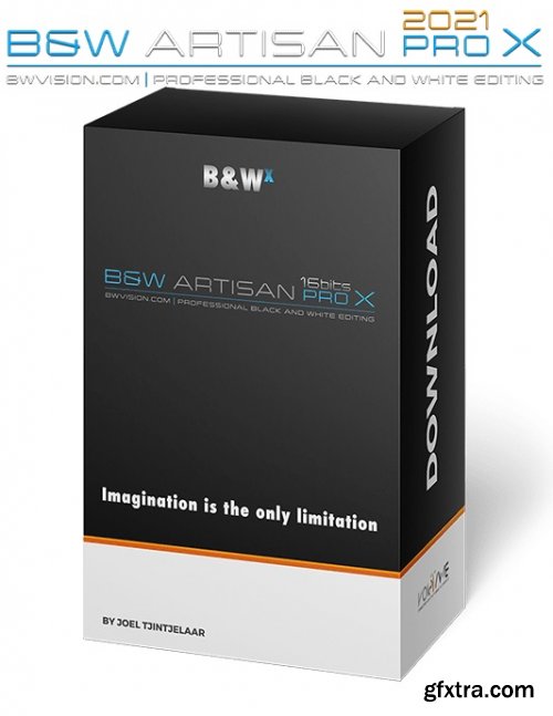 BW Artisan Pro X 2021 for Adobe Photoshop 