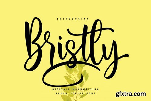 Bristly Handwriting Brush Script Font