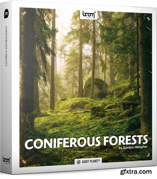 Boom Library Coniferous Forests STEREO & SURROUND Edition