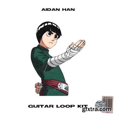 Aidan Han rock lee [guitar loop kit]