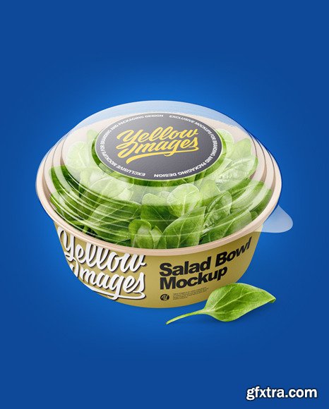 Paper Container With Salad & Transparent cap Mockup 76285