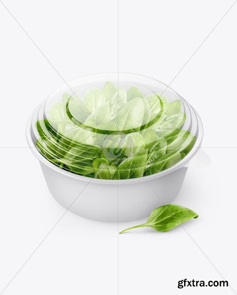 Paper Container With Salad & Transparent cap Mockup 76285