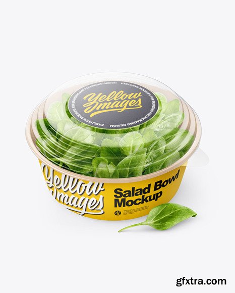 Paper Container With Salad & Transparent cap Mockup 76285