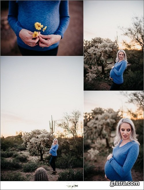 Twig & Olive Photography - Flower, Fields + Flare: Outdoor Maternity Sessions