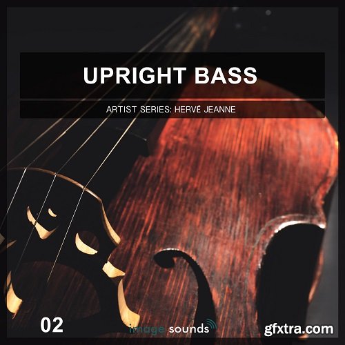 Image Sounds Upright Bass 2