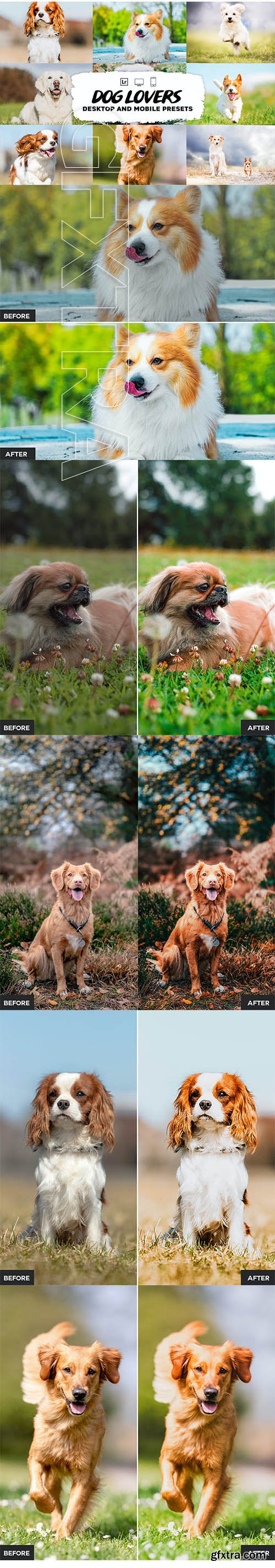 Dog Lovers Lightroom Presets Collection