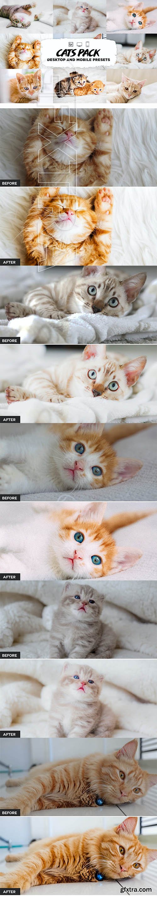 Cat Lightroom Presets