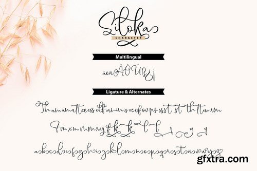 Siloka Script Font