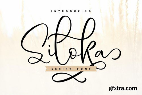 Siloka Script Font