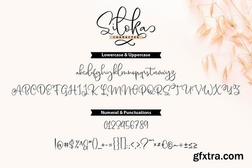 Siloka Script Font