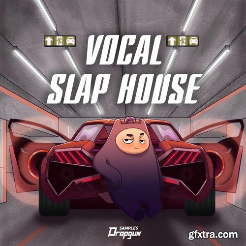 Dropgun Samples Vocal Slap House