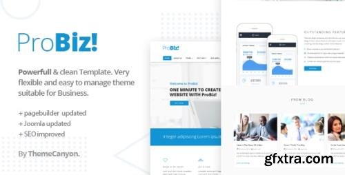 ThemeForest - ProBiz! v1.2 - Creative Multipurpose Business Template (Update: 14 October 20) - 14808623