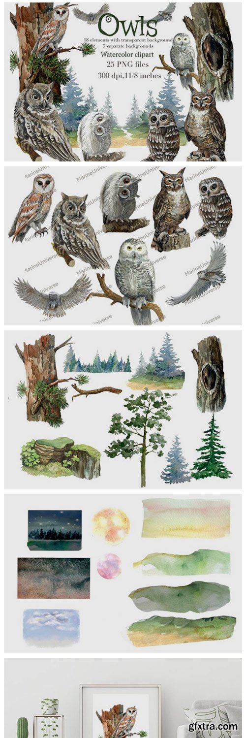 Owls in the Forest Watercolor Clipart 8514130