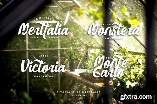 Merttalia Modern Script Font