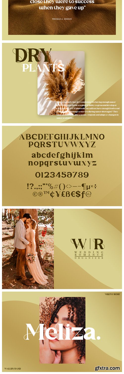 Vigeny Font