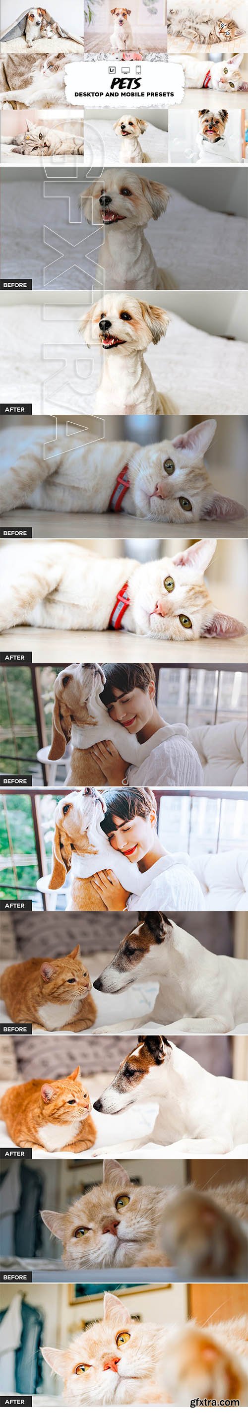 CreativeMarket - Pets Lightroom Presets 5953585