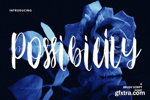 Possibility - Brush Script Font