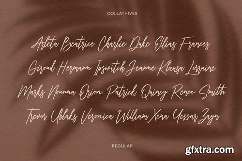 Collathives Signature Brush Font