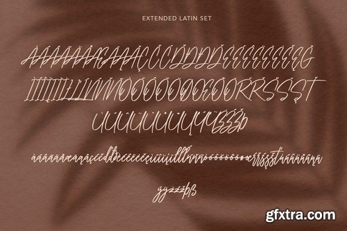 Collathives Signature Brush Font