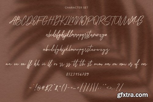 Collathives Signature Brush Font