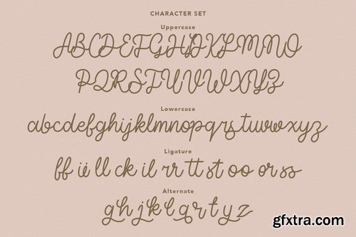 Tiffanky Monoline Cursive Font