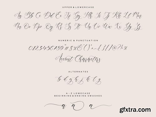 Mignola Script Font