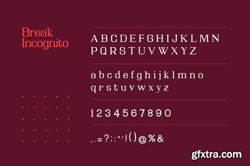 Break Incognito Serif Font