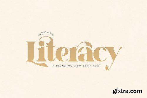 Literacy Serif Font