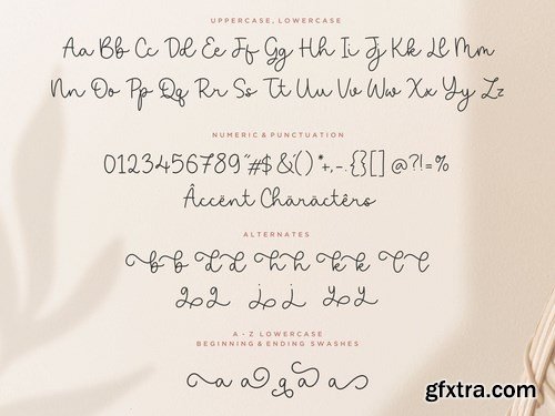 Saylora Script Font