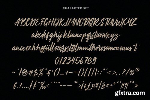 Aprictoos Signature Brush Font