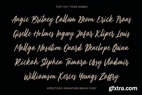 Aprictoos Signature Brush Font