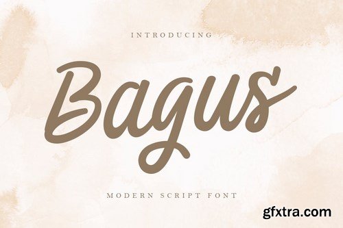 Bagus - Modern Script Font