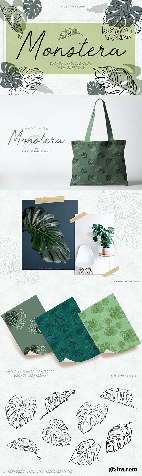 Monstera Leaf Vector Illustrations