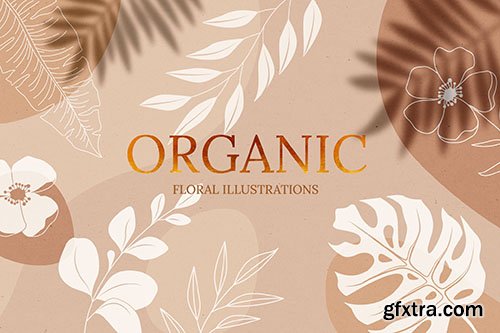 Organic Floral Illustrations 