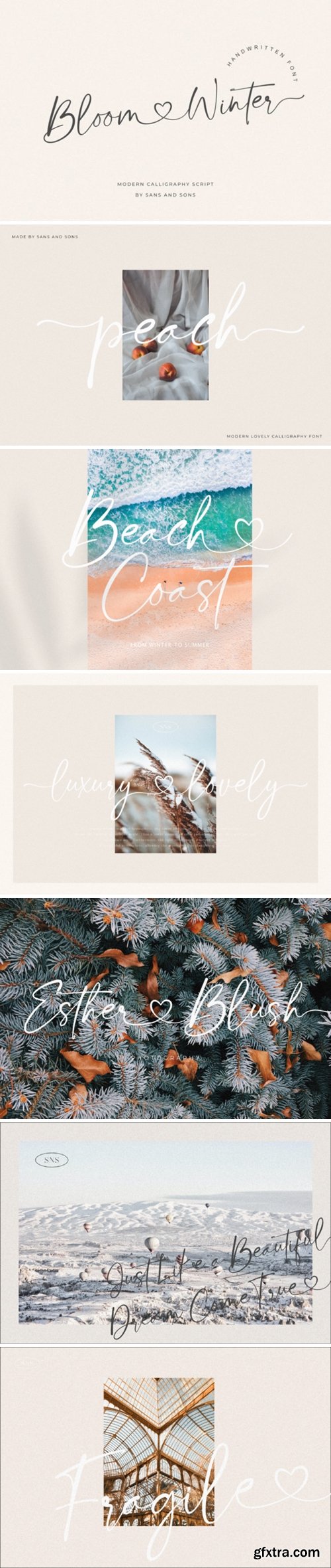 Bloom Winter Font