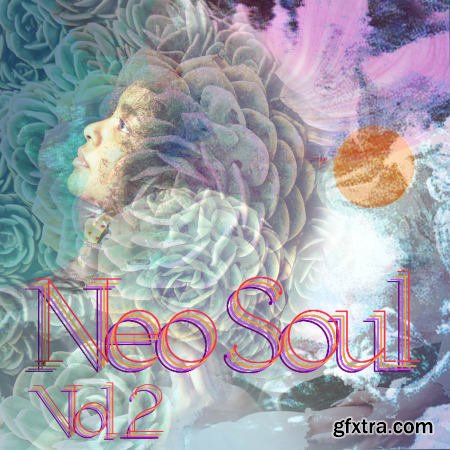 Drumdrops Neo Soul Vol 2