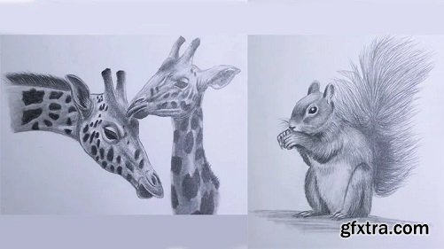 how-to-draw-and-sketch-animal-with-pencil-step-by-step-gfxtra