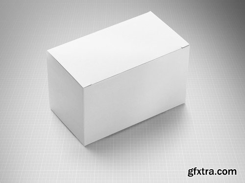 Box Mockup 7