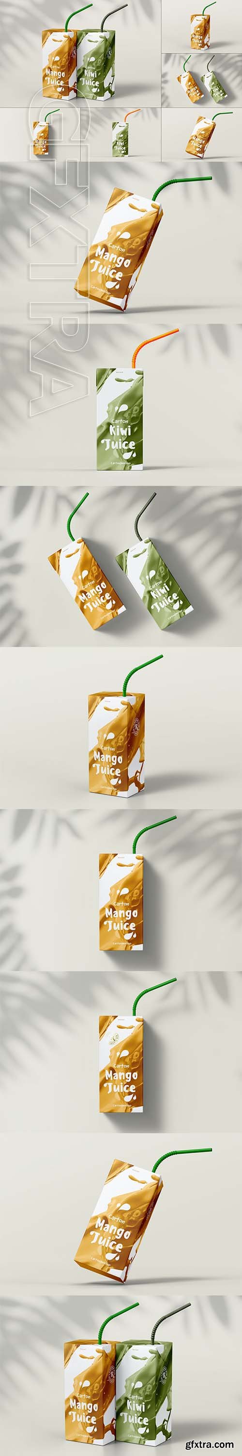 Juice Carton Mock-up