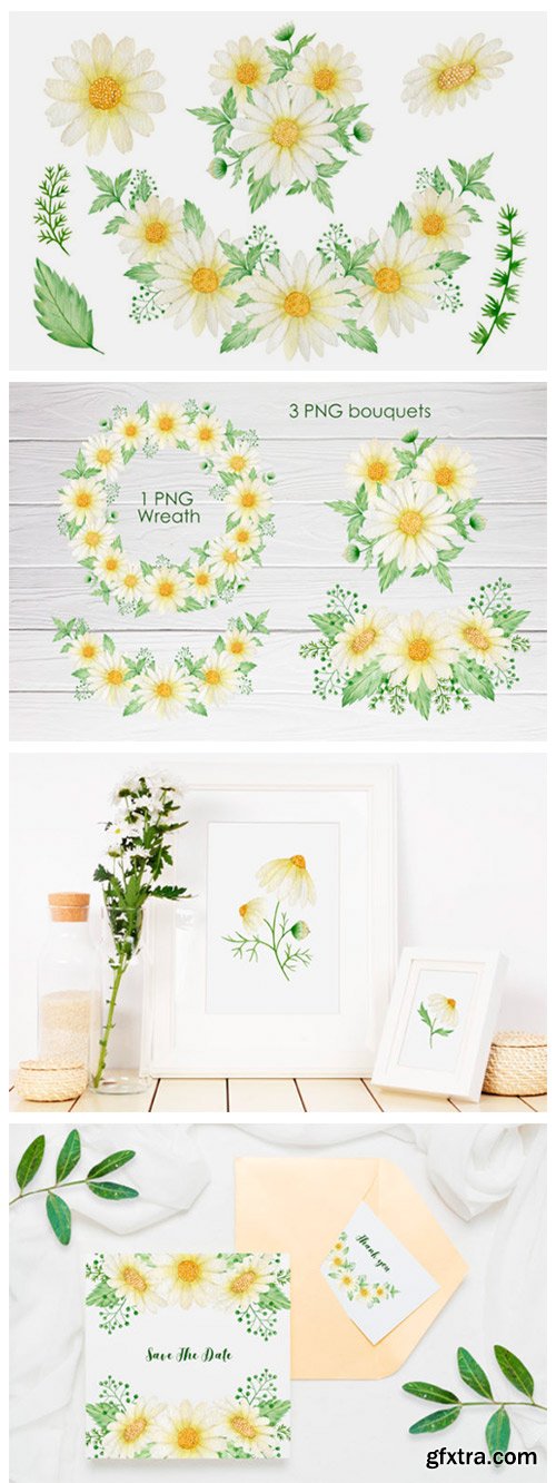 Watercolor Daisy Clipart 9400733