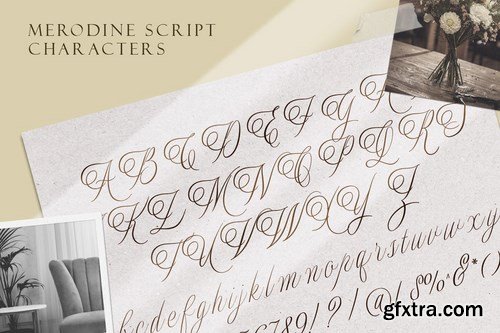 Merodine Script