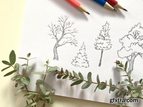  Draw Simple, Interesting Trees