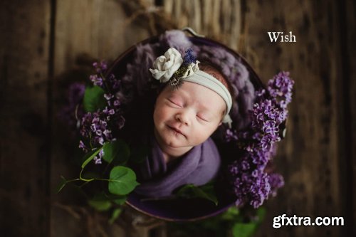 Twig & Olive – Photoshop CC Actions | Sleepy Matte