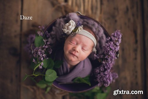 Twig & Olive – Photoshop CC Actions | Sleepy Matte