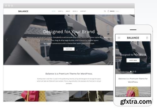 WPZoom - Balance v2.0.5 - eCommerce / Business WordPress Theme
