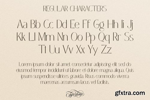 Coastine – Chic Modern Font