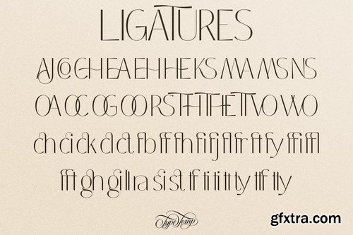 Coastine – Chic Modern Font