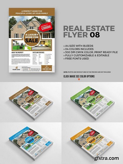 Real estate flyer 08